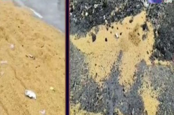 કમોસમી વરસાદની તોફાની બેટીંગ, સુરતનાં ઓલપાડમાં ડાંગરનો પાક પાણીમાં, કેરીના પાકનું ચિત્ર ધૂંધળું, જિનિંગ ઉદ્યોગકારો પણ તકલીફમાં