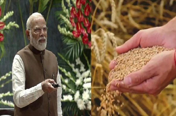 પ્રધાનમંત્રી ધન ધાન્ય કૃષિ યોજના શરૂ: 100 સૌથી પછાત જિલ્લાઓના 1.7 કરોડ ખેડૂતોને કેવી રીતે ફાયદો થશે?