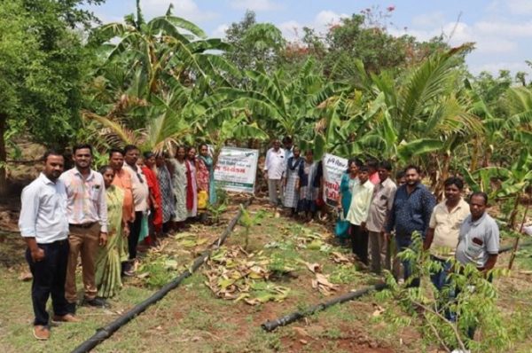 પ્રાકૃતિક ખેતી કરીને ડાંગના મંગીબેન બન્યા લખપતિ દીદી, પ્રથમ માસમાં જ નાગલીના 15,000ના ઉત્પાદનો વેચ્યા