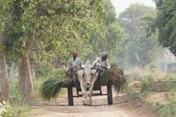 ખેડૂતોને દિવાળી પર પણ પીએમ કિસાન યોજનાનો 21મો હપ્તો મળ્યો નહીં, હવે ક્યારે મળશે તેમને પૈસા?