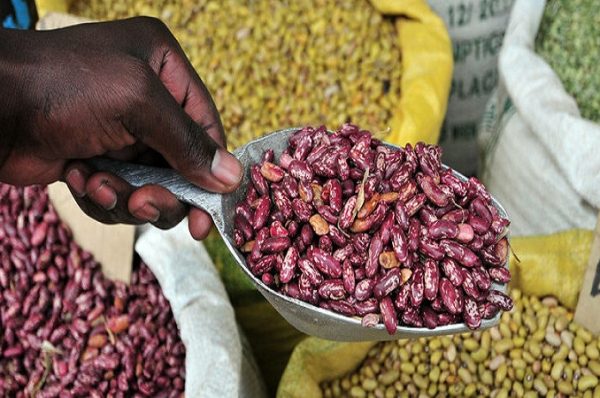 સરકાર કઠોળની 100% ખરીદી સુનિશ્ચિત કરશે, ખેડૂતોને લઘુત્તમ ટેકાના ભાવે સંપૂર્ણ લાભ મળશે