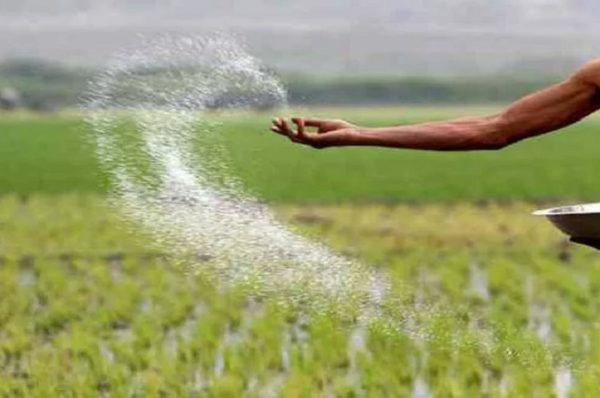 DAP અને સલ્ફર પર સબસિડીમાં વધારો, ખેડૂતોને મોંઘા ખાતરોથી રાહત મળશે