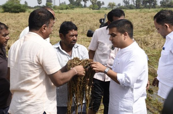 સુરતનાં ઓલપાડમાં કમોસમી વરસાદથી પાકને થયેલી નુકસાનીનો તાગ મેળવતા Dy.CM હર્ષ સંઘવી, સર્વેના આદેશ આપ્યા