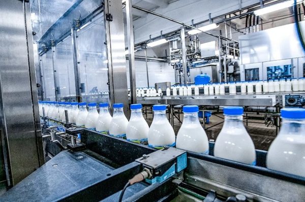 રિપોર્ટ: ભારતમાં ડેરી ઉદ્યોગનું વર્ચસ્વ, 71% ભારતીયો દરરોજ કરે છે દૂધ અને દહીંનો ઉપયોગ 