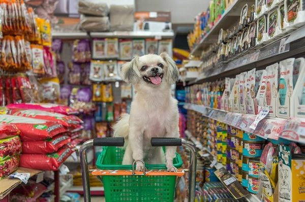 રિલાયન્સના આ સમાચારથી ઘણી કંપનીઓની ઊંઘ હરામ થઈ ગઈ, પરંતુ ડોગ લવર્સ માટે છે ગૂડ ન્યૂઝ