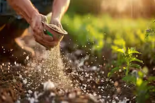 ખેડૂતોને નકલી ખાતર અને બિયારણથી મુક્તિ મળશે! બજેટ સત્રમાં બિલ રજૂ કરવામાં આવશે