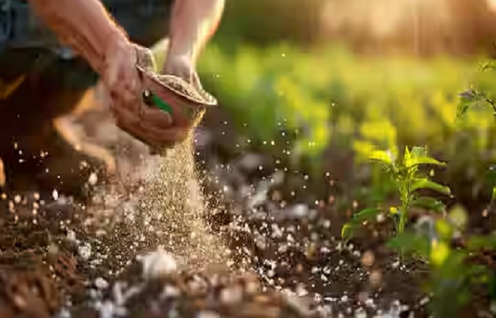 PM મોદીની જોર્ડન મુલાકાત: ફોસ્ફોરિક એસિડ,DAP અંગે જોર્ડન સાથે કરારની અપેક્ષા, ફર્ટિલાઇઝર્સના શેરોમાં ઉછાળો