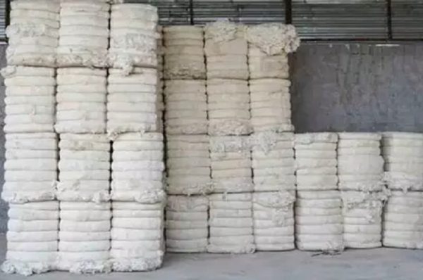 કપાસને આયાત ડ્યુટીમાંથી મૂક્તિ, કાપડ ઉદ્યોગના ખર્ચમાં ઘટાડો: કાપડ રાજ્ય મંત્રી પવિત્રા માર્ગેરિટા