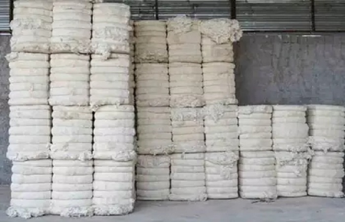 કપાસને આયાત ડ્યુટી મુક્તિ, કાપડ ઉદ્યોગના ખર્ચમાં ઘટાડો: કાપડ રાજ્ય મંત્રી પવિત્રા માર્ગેરિટા