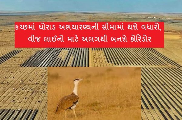 સુપ્રીમ કોર્ટનો આદેશઃ કચ્છના અબડાસામાં ઘોરાડ અભ્યારણ વિસ્તારમાં હવે પવનચક્કી કે ભારે વીજલાઇનો નાખવા પર પ્રતિબંધ