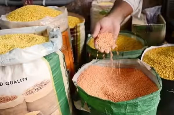 GST: આવશ્યક વસ્તુઓ પર ‘આરોગ્ય અને રાષ્ટ્રીય સુરક્ષા ઉપકર’ નહીં,’ રાજ્યોના હિસ્સા પર સરકારે કર્યો ખુલાસો