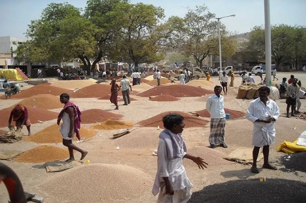 ફાર્મર ટૂ ટ્રેડીંગ સ્કીમ: ખેડુતોને વેપારી બનાવવા સરકારની પહેલ, પણ પ્રયાસો અપૂરતા