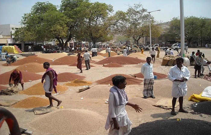 ફાર્મર ટૂ ટ્રેડીંગ સ્કીમ: ખેડુતોને વેપારી બનાવવા સરકારની પહેલ, પણ પ્રયાસો અપૂરતા