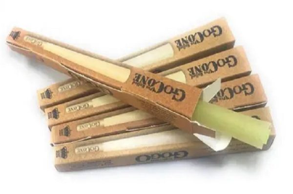 ગુજરાતમાં ‘ગોગો પેપર’ અને સ્મોકિંગ કોન્સ પર પ્રતિબંધ, જાણો શું છે કારણ અને કાયદાકીય જોગવાઈઓ