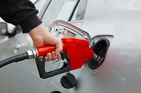 ટાટા મોટર્સે નાના પેટ્રોલ વાહનોને ફ્યુઅલ એફિશિયન્સીમાંથી મુક્તિ આપવાનો વિરોધ કર્યો, EV અને સુરક્ષા અંગે આપી ચેતવણી 