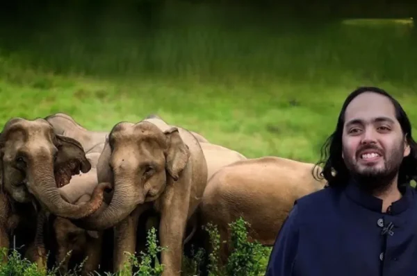 ગ્લોબલ હ્યુમેન સોસાયટીએ અનંત અંબાણીને ગ્લોબલ હ્યુમેનિટરીયન એવોર્ડ એનાયત કર્યો