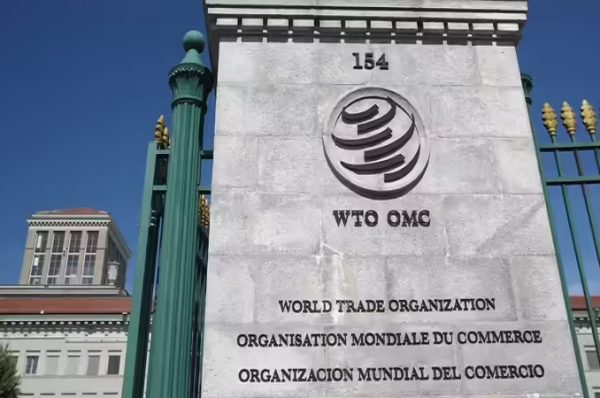 ચીનનું દુખે છે પેટ પણ કૂટે છે માથું: ચીને WTO માં ભારત સામે આ બાબતોને લઈ નોંધાવી ફરિયાદ, જાણો સમગ્ર મામલો