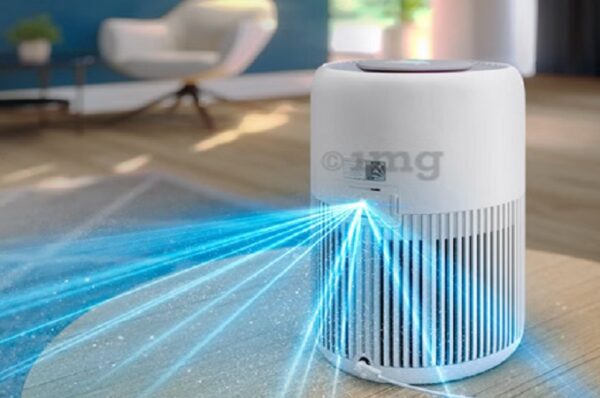 કેન્દ્ર સરકારે એર પ્યુરિફાયર પર GST ઘટાડવાનો વિરોધ કર્યો, કહ્યું , “આનાથી સમસ્યાઓનો મોટો પટારો ખુલશે”