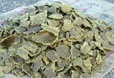 નવેમ્બરમાં ભારતની તેલીબિંયાના ખોળની નિકાસમાં 27 ટકા ઘટાડો