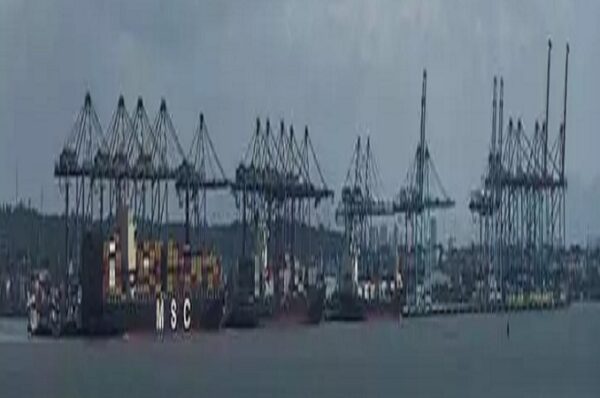 અમેરિકા સાથેની ટ્રેડ ડીલ પૂર્વે  ભારતે આયાતની ચકાસણીને સરળ બનાવવા માટે સુધારાઓની જાહેરાત કરી