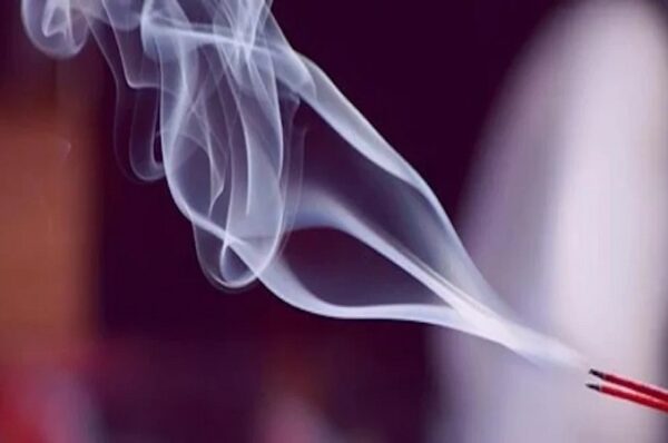 અગરબત્તીઓમાં આ રસાયણોના ઉપયોગ પર પ્રતિબંધ, જંતુનાશકોના ઉપયોગ પર પ્રતિબંધનાં કારણ જાણો