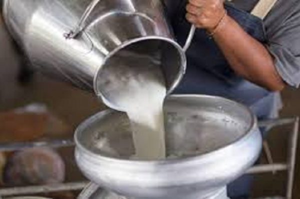 ડેરી ઉદ્યોગમાં ખળભળાટ: ભેળસેળયુક્ત દૂધ અને દૂધના ઉત્પાદનો પર દેશવ્યાપી કાર્યવાહી કરવા FSSAI નો આદેશ