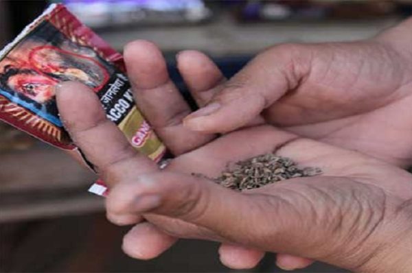 છૂટક વેચાણ કિંમત હવે બધા પાન મસાલા પેક પર છાપવી જરૂરી રહેશે, નવો નિયમ 1 ફેબ્રુઆરી, 2026 થી અમલમાં આવશે