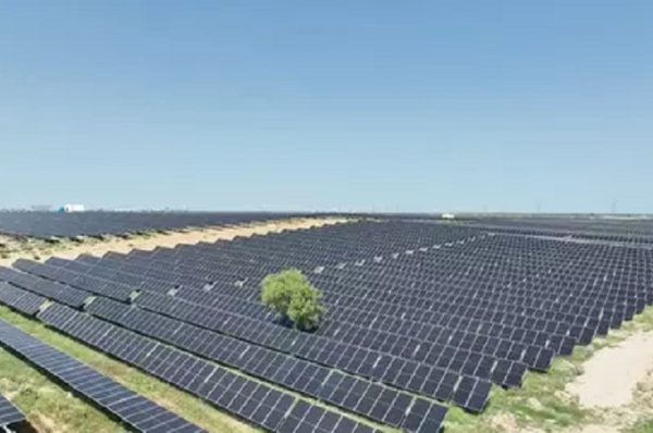 NTPC એ 85.5 MW સોલાર પાવર ક્ષમતાને પાર કરીને 359.58 MW કોમર્શિયલ સોલાર એનર્જીનો ઉમેરો કર્યો