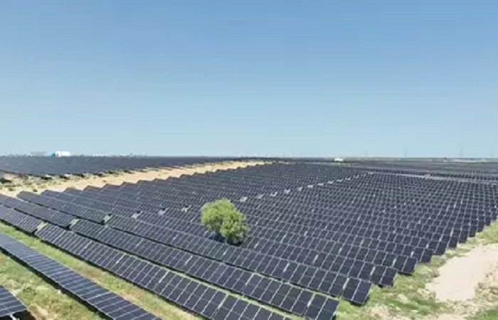 NTPC એ 85.5 MW સોલાર પાવર ક્ષમતાને પાર કરીને 359.58 MW કોમર્શિયલ સોલાર એનર્જીનો ઉમેરો કર્યો