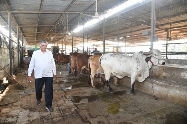 સામાન્ય શોખથી શરૂ થયેલી ગૌ સેવાએ મહેન્દ્ર પટેલને શ્રેષ્ઠ પશુપાલક બનાવ્યા, મજબૂત આવક ઊભી કરી આપી 