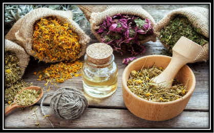 ભારતનું હર્બલ અને આયુર્વેદ ક્ષેત્ર વિશ્વાસ મજબૂત કરવા પારદર્શિતા અને ક્લીન લેબલિંગને પ્રાથમિકતા આપે છે