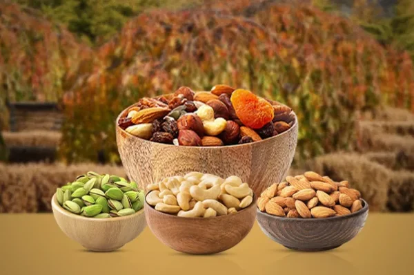 ઇરાન સાથે વેપાર કરનાર ભારત પર અમેરિકાએ 25 ટકા ટેરિફ વધારતા ડ્રાયફ્રૂટની આયાતમાં અવરોધ આવશે