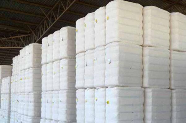 એપ્રિલ–જાન્યુઆરી દરમિયાન ભારતની કપાસ આયાત $1.79 અબજની થઈ