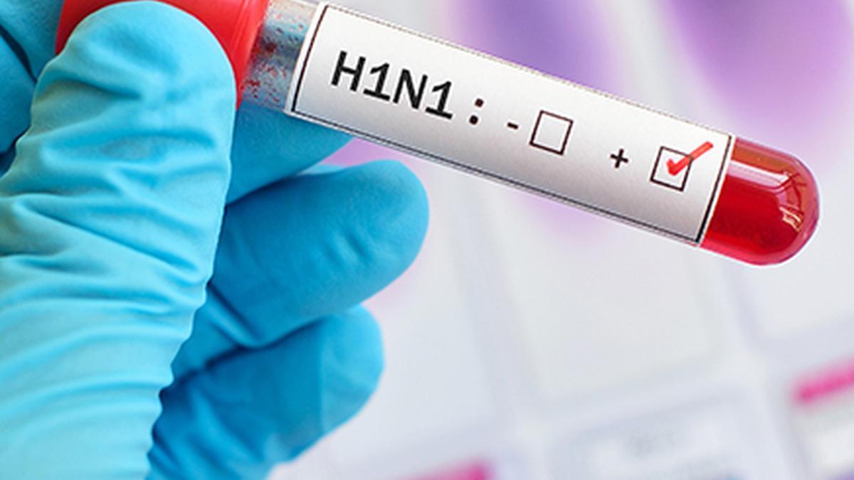 દિલ્હીમાં H1N1 નો રોગચાળો: ૧,૭૭૭ કેસ નોંધાયા. લક્ષણો, કોણ જોખમમાં છે અને સુરક્ષિત કેવી રીતે રહેવું